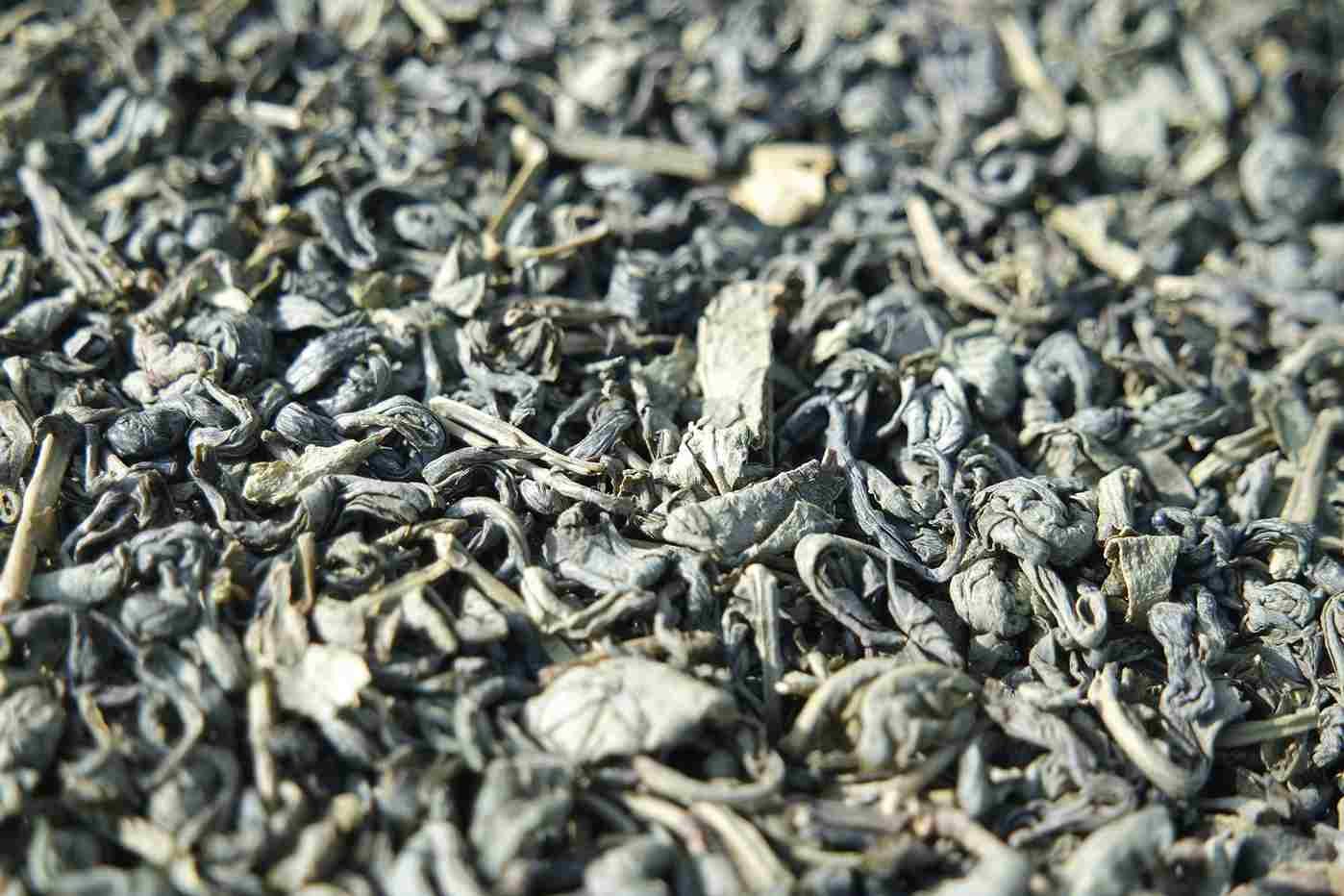 green tea leaves and l-theanine