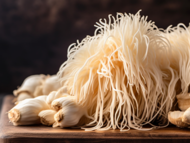 lions mane health benefits